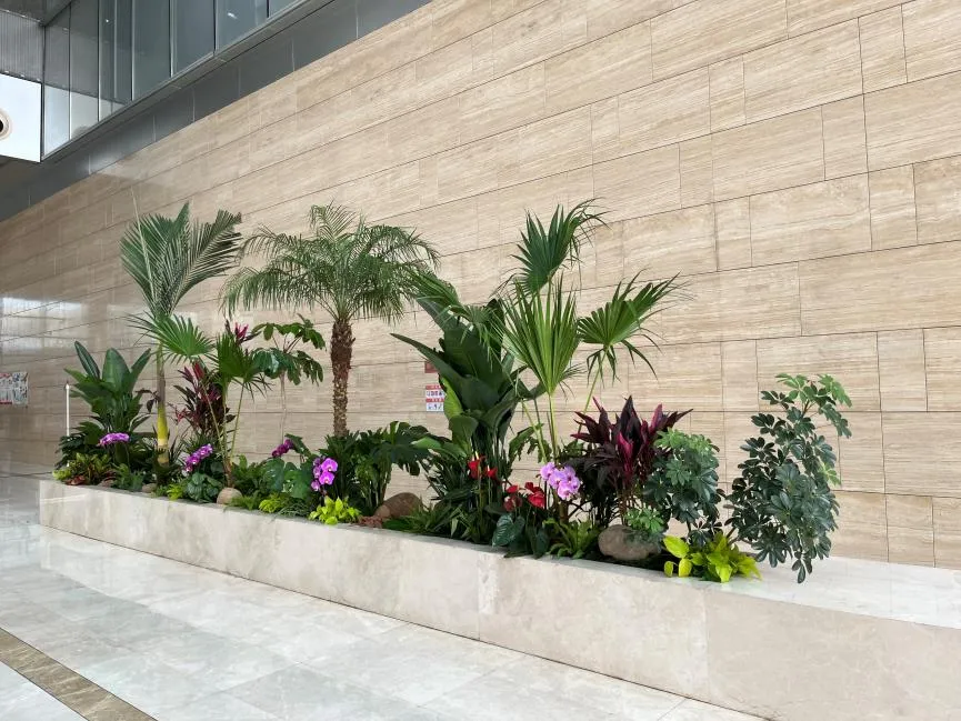 找绿植租摆就选奉化公司，专业服务超贴心！